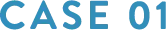 CASE 01