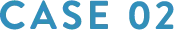CASE 02