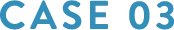 CASE 03